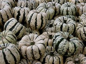 Courge Patidou 4pces