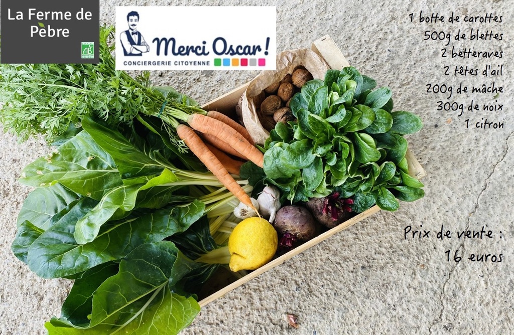 Panier de fruits et légumes Cité des Energies 16€