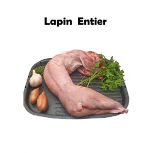 Lapin fermier entier - 1,5