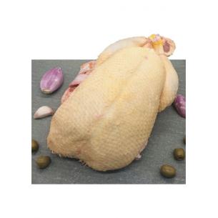Canette fermière entière élévée au grain - 1,9 kg