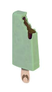 Paletas menthe chocolat la boite de 10