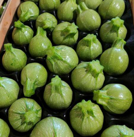 Courgettes Rondes