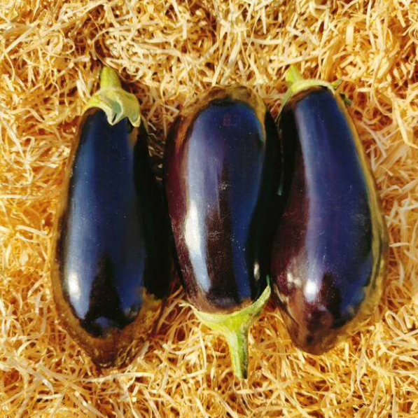 Aubergines (strillés, blanche, classique) 3-4 pces
