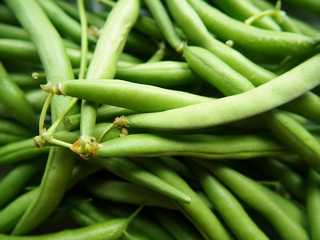 Haricots verts