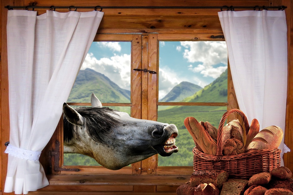 Artiflex protège et soulage les articulations 1l