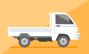 véhicule camionnette type N1