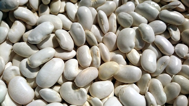 Haricots blancs