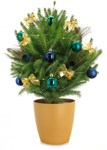 Le mini sapin des rois pot doré et décoration hors frais d'envoi