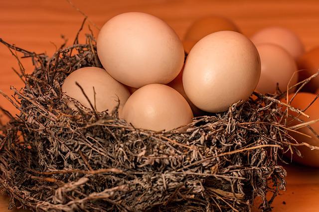 6 oeufs bios et extra frais