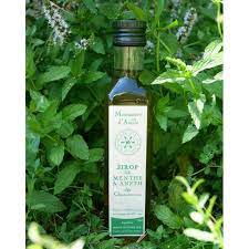 Sirop de Menthe 25cl