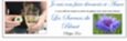 10 mini savarins et 4 cl sirop bleuet