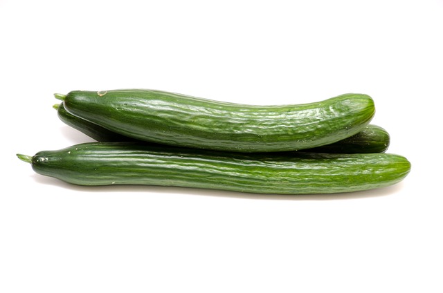 Concombre bio
