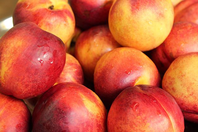 Nectarines bio