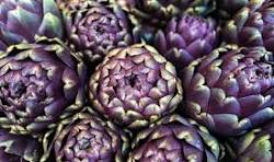 Artichaud Violet poivrade pièce