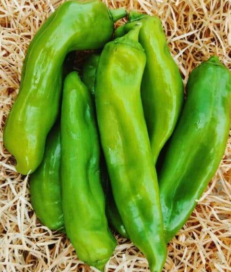 Poivrons salade   550g