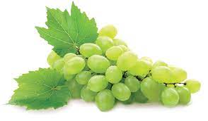 Raisin muscat