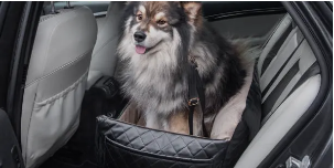 Option Poils de chien ou sable Cl.A