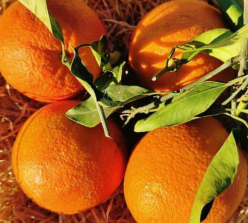 Oranges feuilles 750g