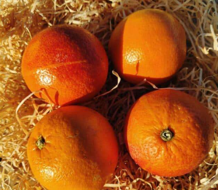 Oranges sanguines env 700g