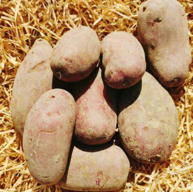Pommes de terre 950g
