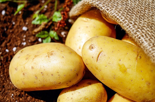 Pomme de terre  Kg