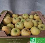 POMME CHANTECLER BIO Fondante, parfumée, acidulée et sucrée la caisse de 13 kg