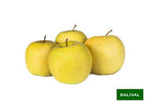 le filet d'Inogo de 5 kg