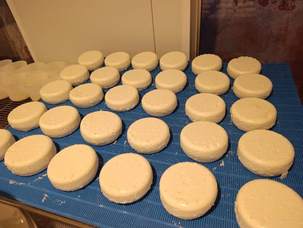 Fromage lactique 150g la pièce