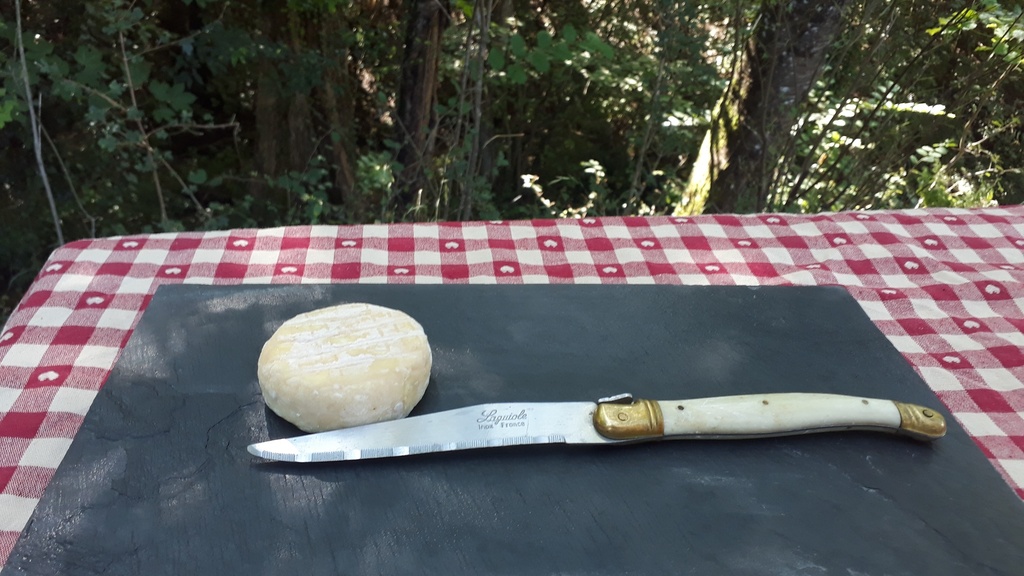 Fromage de chèvre mi sec la pièce