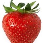 Barquette de fraise Dream 500g