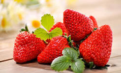 Barquette de fraise Gariguette 500g