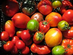 Tomates anciennes Kg