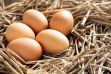 Oeufs frais la boite de 6