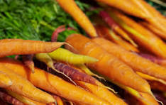 Carotte vrac 500g