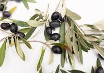 Bocal d'olives nnoire au naturel BIO