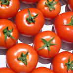 Tomates ronde 500g