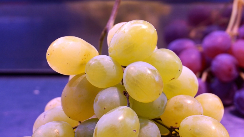 Raisin muscat premium 500g