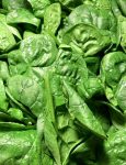 Epinards 500g