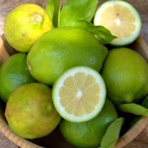 Citrons jaunes Verdello 500g